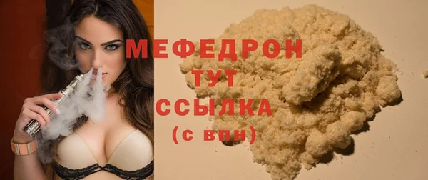 МДПВ Богородск