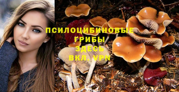 прущие крисы Богданович