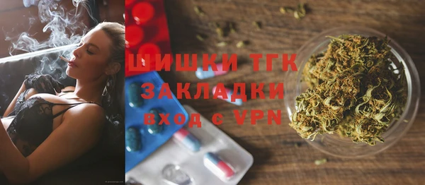 МДПВ Богородск