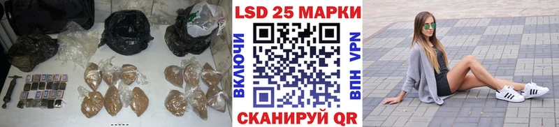 shop состав  Новый Уренгой  Лсд 25 экстази кислота 